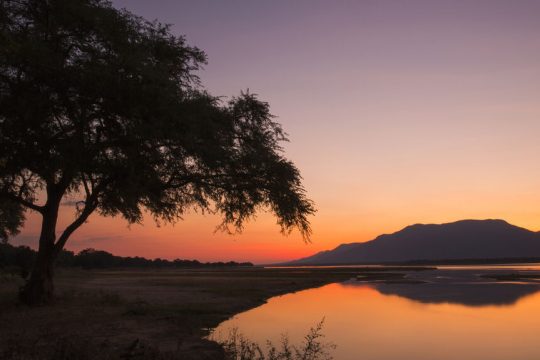 zamvezi potamos